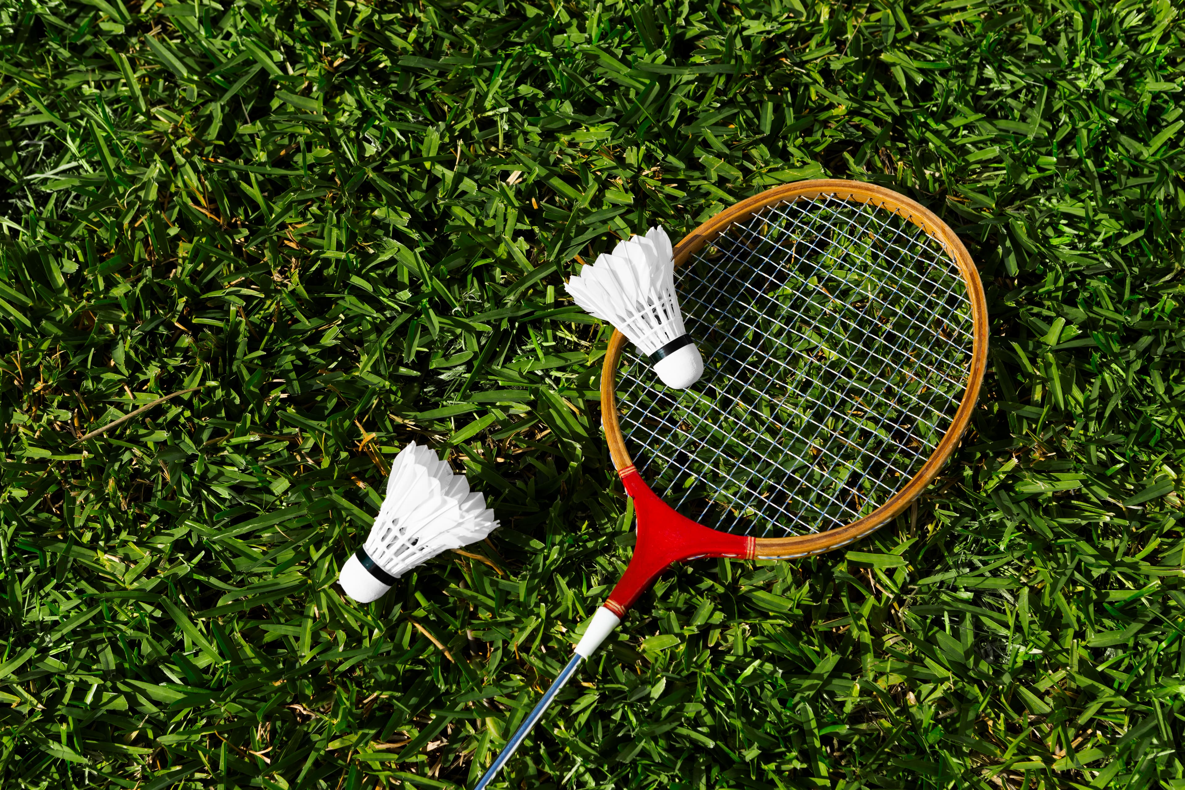 Badminton background