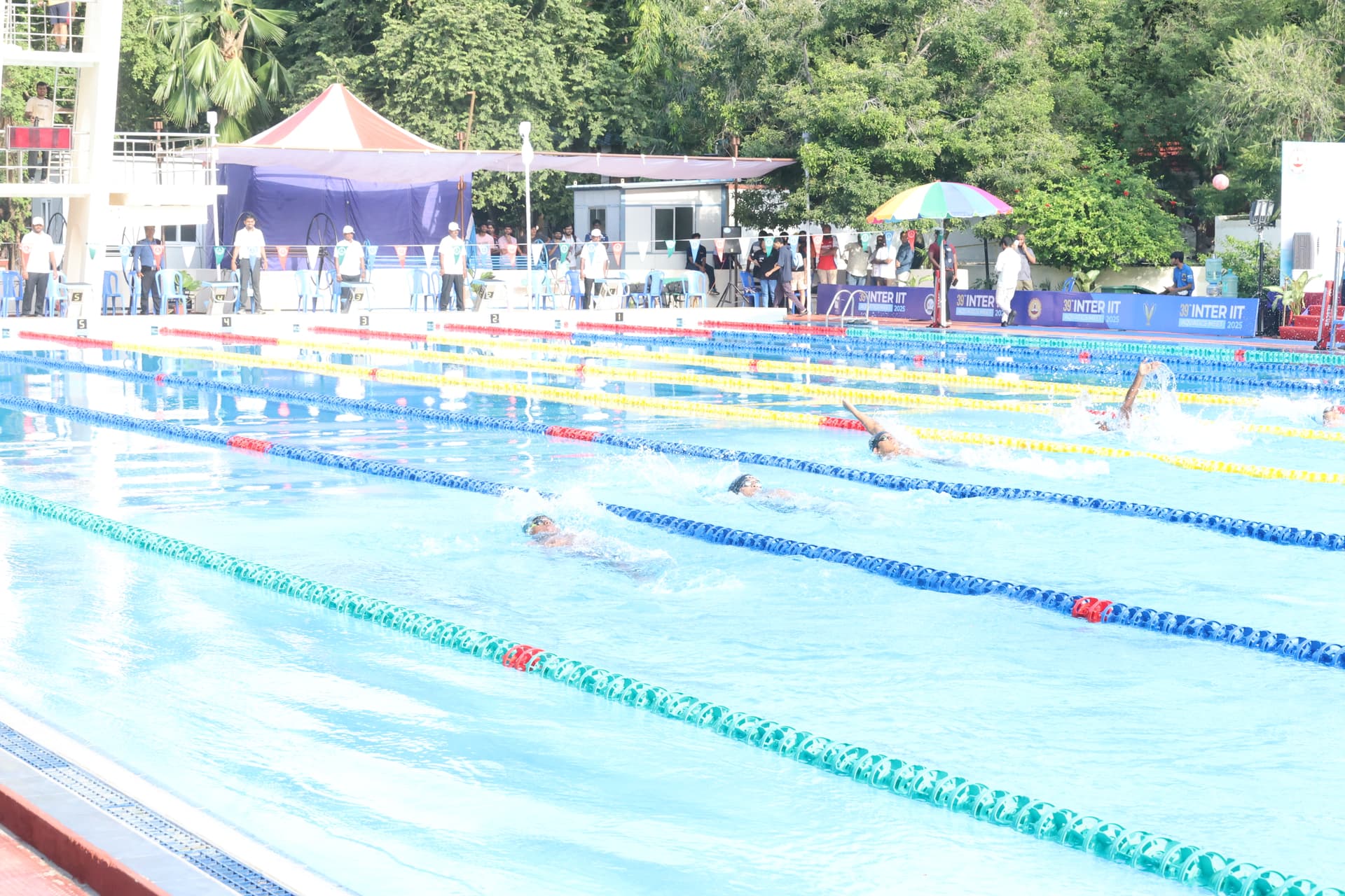 swimmers doing backstroke in the backstroke swimming competition